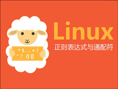linux通配符和正则表达式的使用