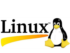 Linux中如何安装并使用http_load对服务器进行压力测试